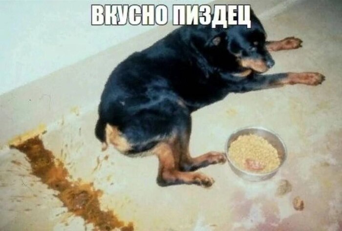 ������ ������ ��� ������????