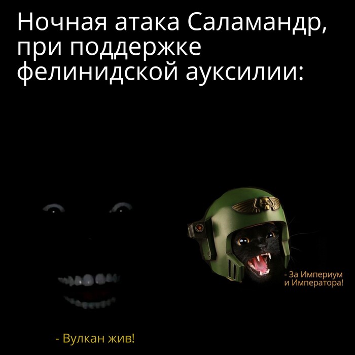 Ночная атака