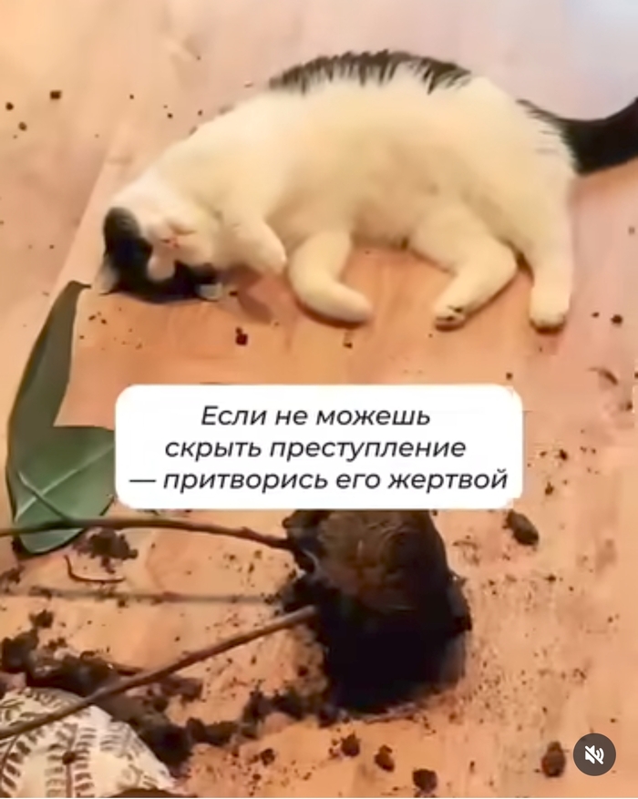    , , ,  ,  , , ,  ,  , 