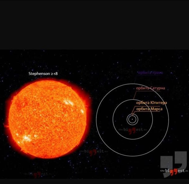 The Largest Known Stars in Space - My, Astronomy, Research, Stars, Space, Universe, Galaxy, Longpost