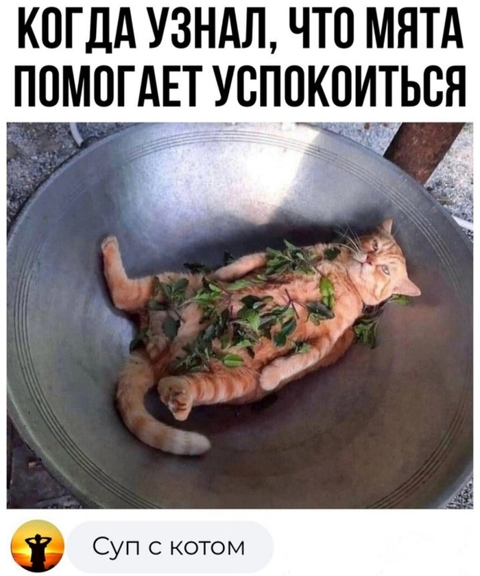   , , ,   , 