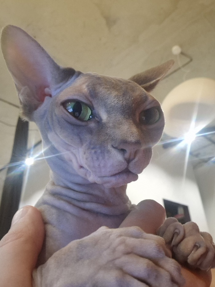   ,  , , ,  , 