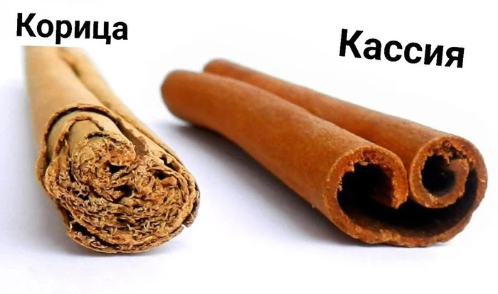 Cinnamon and Cassia. What's the Difference? - My, Cat_cat, Text, Cinnamon, Cassia, Food, Longpost