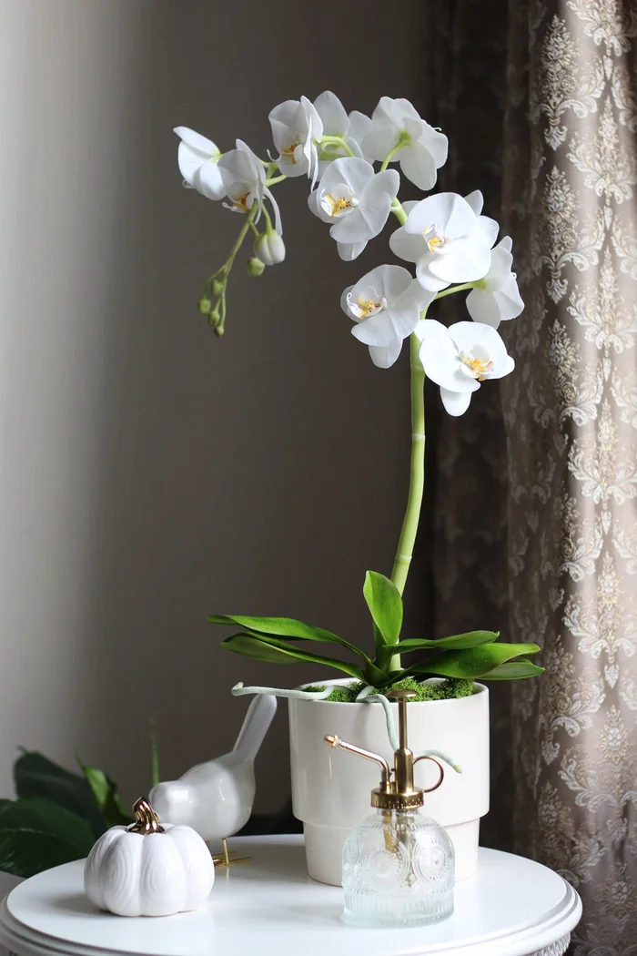 Phalaenopsis that doesn't need to be watered - My, Orchids, Phalaenopsis, Houseplants, Interior, Decor, Artificial, Idea for home, Лепка, Needlework with process, Polymer clay, Flowers, Polymer floristry, Longpost