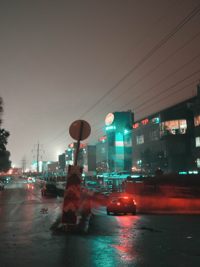 Ненавижу осень