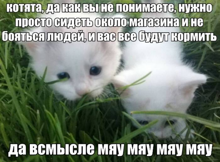 Ну почему они не понимают таких элементарных вещей...