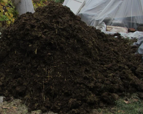 Cow manure. Fresh. Tell me how to use it in the garden - My, Garden, Need advice, Manure, Fertilizers, Text