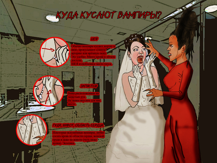 Куда кусают вампиры? (из серии "вампирская энциклопедия")
