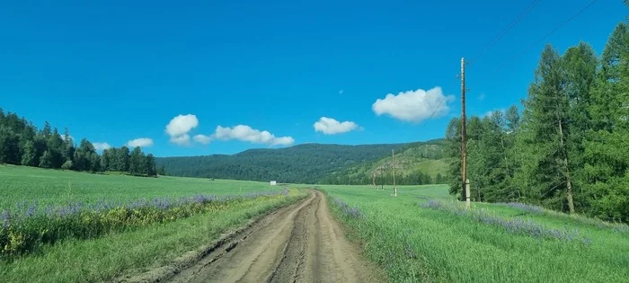 Kulada - My, Altai Republic, The mountains, Quadcopter, Flight, The rocks, Beautiful view, Freshness, Travels, Travel across Russia, Mountain tourism, The photo, Summer, Screensaver