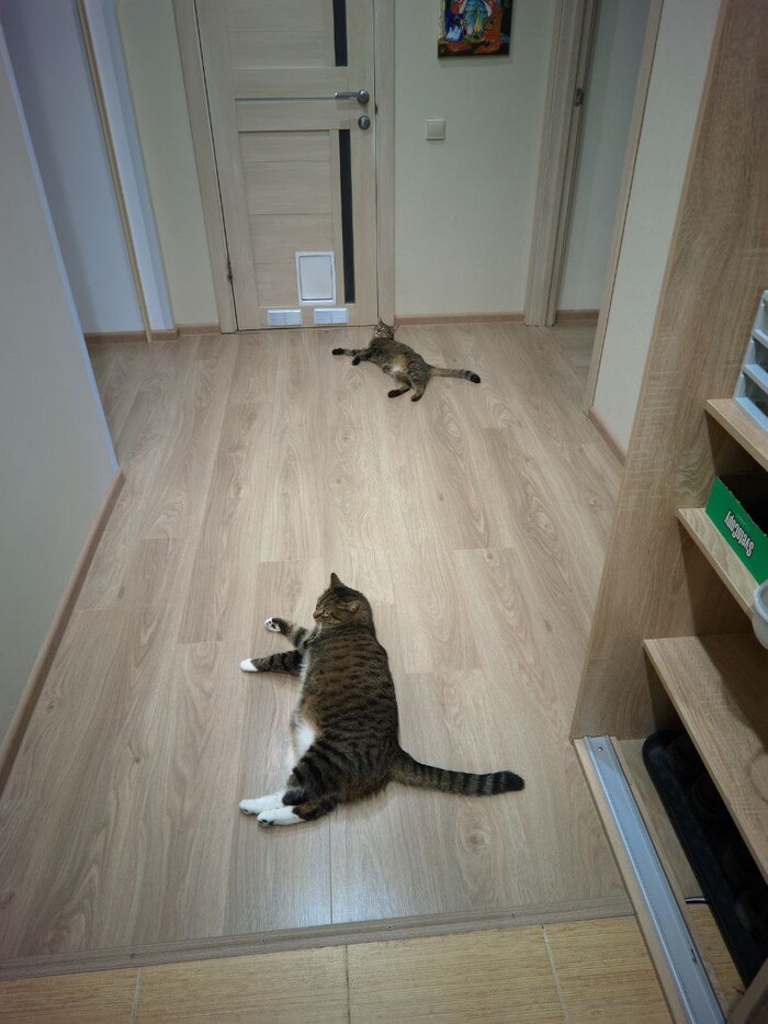 �� ����������, ���