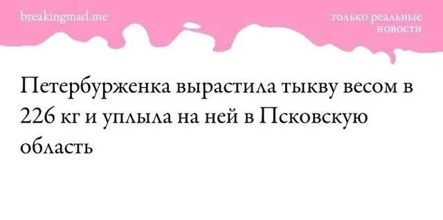 Когда не ждешь подарков от крестной феи - Золушка, Тыква, Санкт-Петербург, Юмор, Из сети, Скриншот