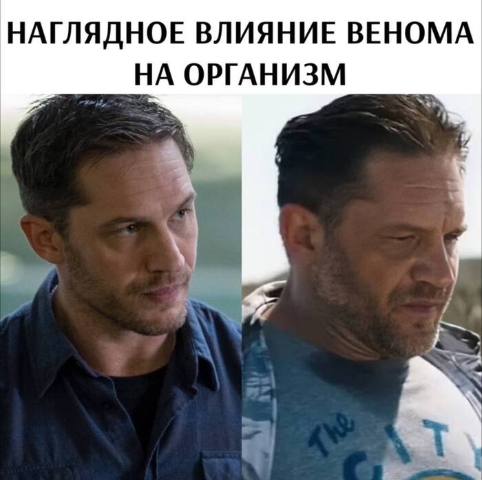             , ,  , , -, Telegram ()
