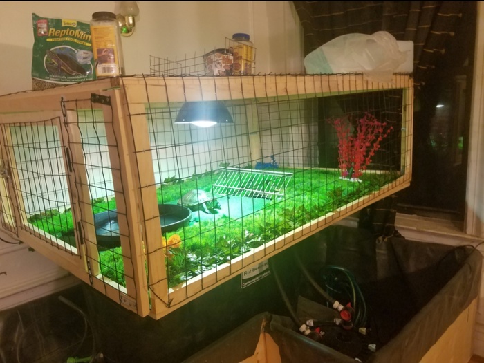 ����� ����