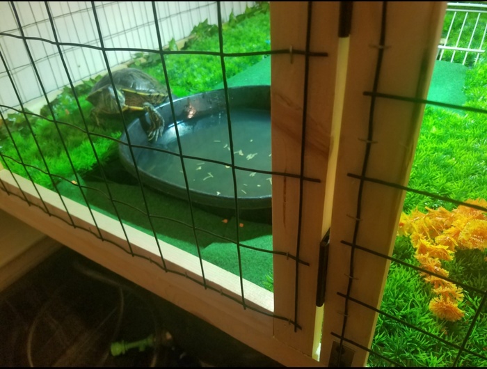 ���������� �������