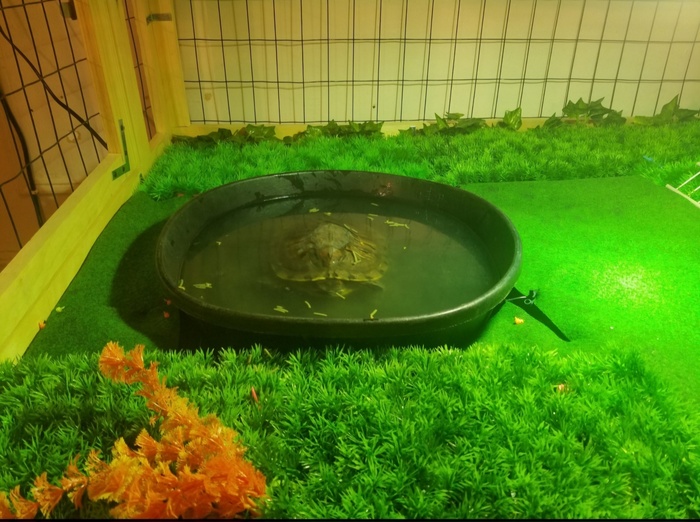 ��� ������ :)