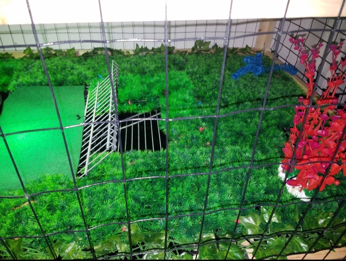 ������ � ��������