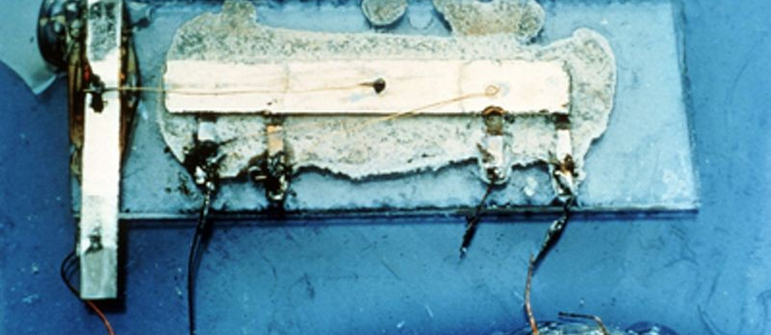 ������������ ����������� ���������������� ������������� ��������� �����