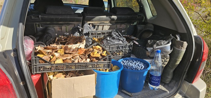 ���������� ��������� �� ���� �����. � ������������: �������, ������, �������, ����������, ����. �� ������������� ���� ������.