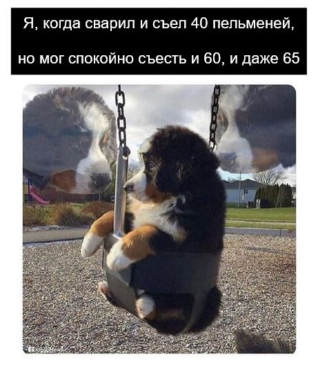   )))
