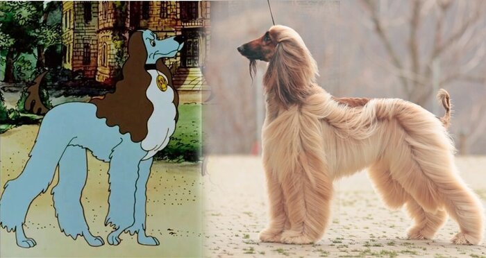 �� ������ ������...