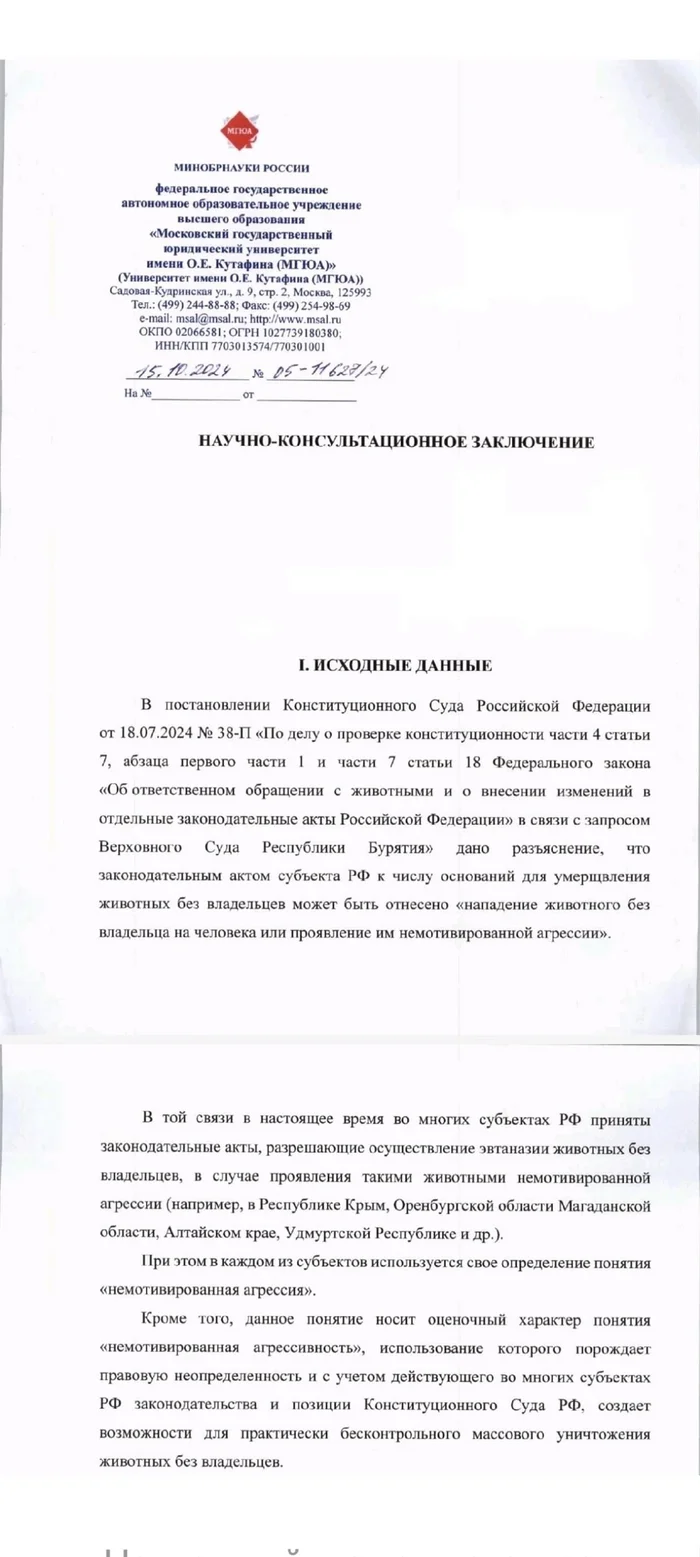 Юристы МГЮА не считают нападения бродячих собак на людей экстраординарной ситуацией - Радикальная зоозащита, Зоозащитники, Бродячие собаки, Нападение собак, Освв, Юристы, МГЮА, Длиннопост