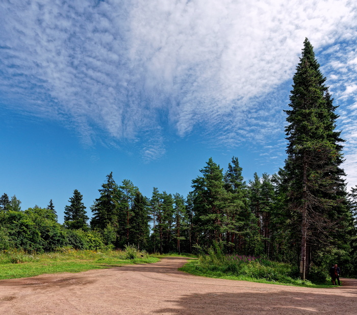 (<a href="https://pikabu.ru/story/valaam_11982923?u=https%3A%2F%2Fcommons.wikimedia.org%2Fwiki%2FFile%3AValaam_P7170281_2915.jpg&t=%D0%BF%D0%BE%D0%BB%D0%BD%D0%BE%D1%80%D0%B0%D0%B7%D0%BC%D0%B5%D1%80&h=4d60f8f4277fb34c12f0d6bd8c8d00b126efada2" title="https://commons.wikimedia.org/wiki/File:Valaam_P7170281_2915.jpg" target="_blank" rel="nofollow noopener">полноразмер</a>)