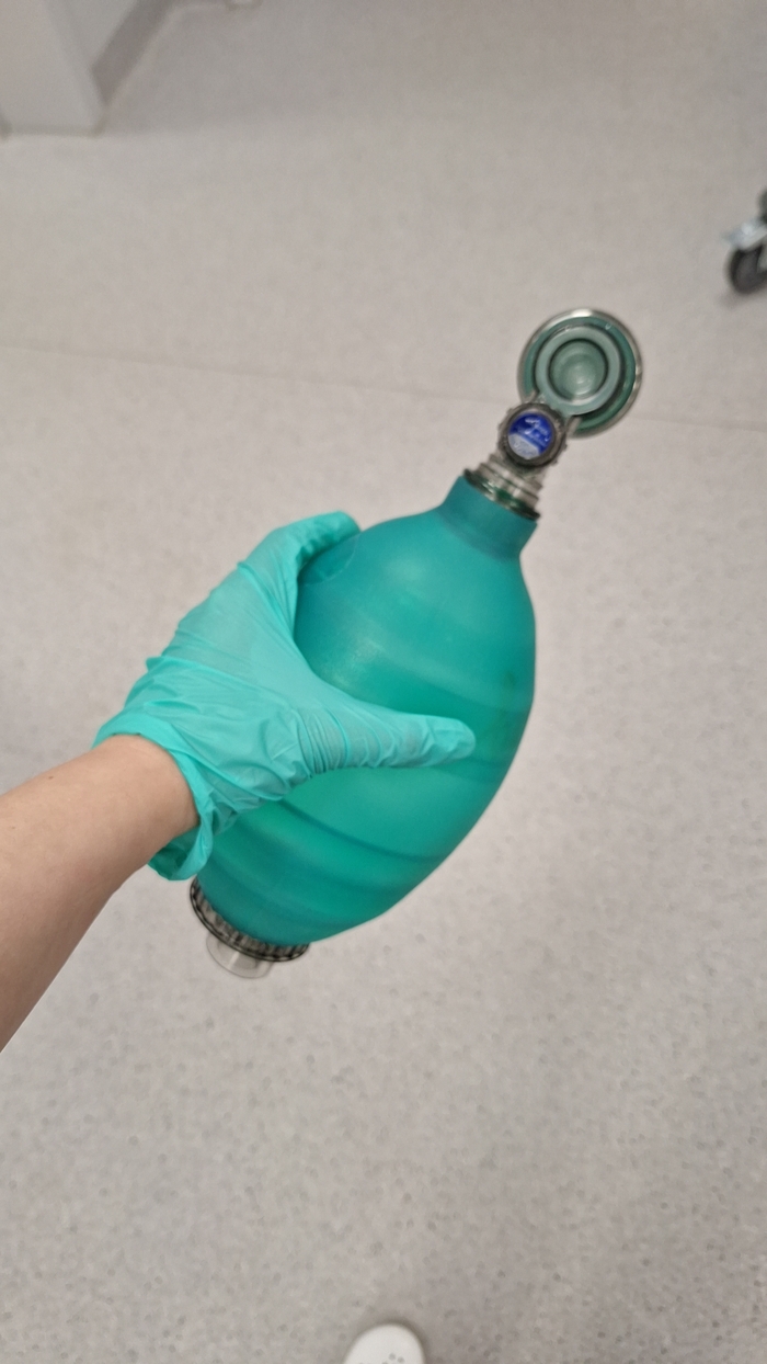 ��� ����� ����������