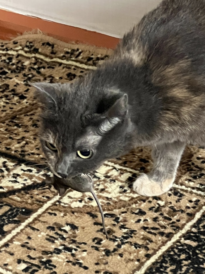       , , , 