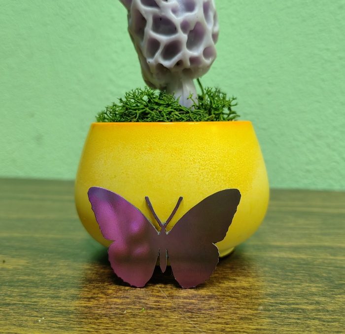 ��� ���� ���� ������� ����� �� �����