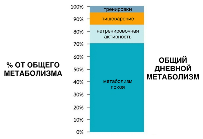 Мифы про метаболизм и почему люди не худеют на 1000 калорий? - Моё, ЗОЖ, Похудение, Диета, Правильное питание, Длиннопост