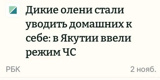 О ПРОСТОРЕ - Моё, Россия, Олени, Литература, Русский язык, СМИ и пресса, Заголовок, Культура, Длиннопост