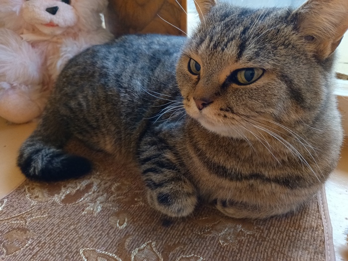 ���������� � ����� �������, ����������