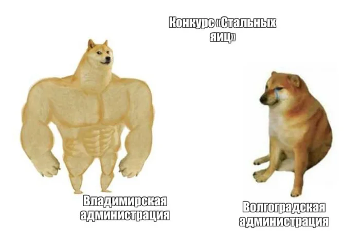 Vladimirskaya vs Volgogradskaya - Vladimir region, Volgograd region, Picture with text, Memes, Doge, Steel eggs