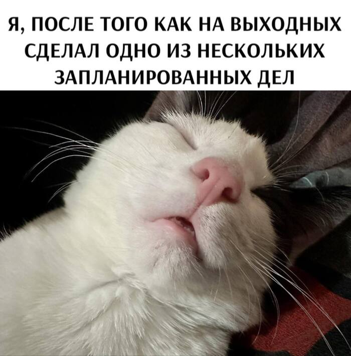     ,   , , , , , Telegram ()
