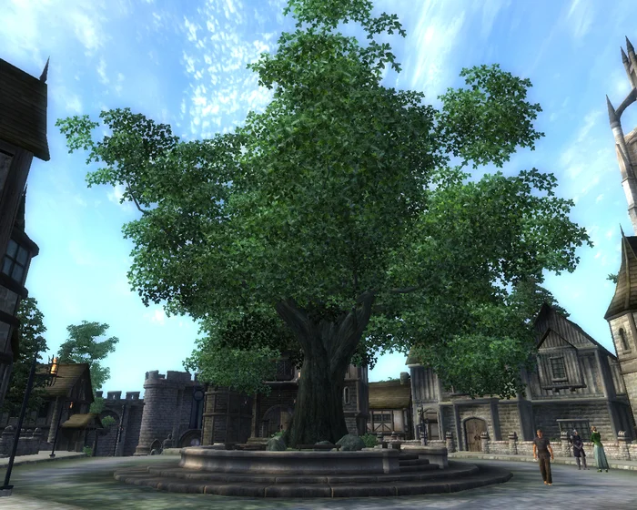 Great Oak, symbol of Chorrol - My, Bethesda, The elder scrolls, The Elder Scrolls IV: Oblivion, Tamriel, Cyrodile, Oak, Nostalgia, RPG, Screenshot