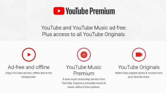 How to pay for YouTube Premium in Russia - the fastest and most profitable way - Instructions, Hyde, Site, Benefit, Youtube, Premium, Activation, Subscriptions, Company Blogs, Longpost