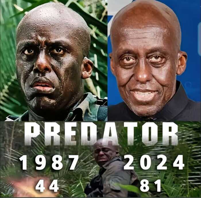 Then and now - Hollywood, Predator (film), Picture with text