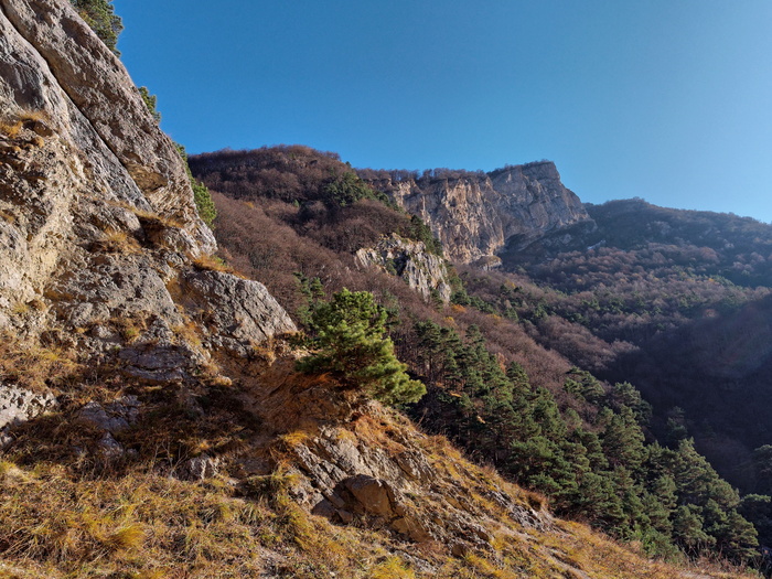 (<a href="https://pikabu.ru/story/severnaya_osetiya_11981651?u=https%3A%2F%2Fcommons.wikimedia.org%2Fwiki%2FFile%3ANorth_Ossetia._Alagirsky_District_PB060390_2475.jpg&t=%D0%BF%D0%BE%D0%BB%D0%BD%D0%BE%D1%80%D0%B0%D0%B7%D0%BC%D0%B5%D1%80&h=fad652cbc7c41a35f24b27de0b33e5fbee1a7d2c" title="https://commons.wikimedia.org/wiki/File:North_Ossetia._Alagirsky_District_PB060390_2475.jpg" target="_blank" rel="nofollow noopener"></a>)