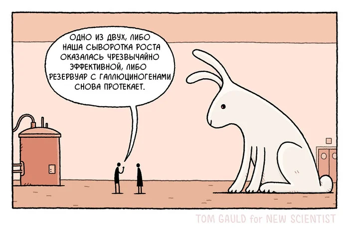 What do you think? - My, Comics, Tom gauld, Rabbit, Scientists, Hallucinations, Translated by myself, Telegram, Repeat