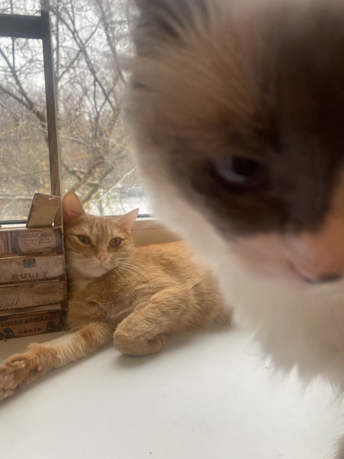 ������ ������� �����, �� ������ ������ ��������� 😝