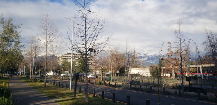 Вдали белеют горы