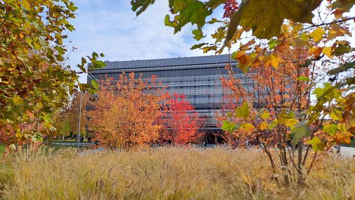 October in the city. Budapest - Budapest, The photo, Longpost