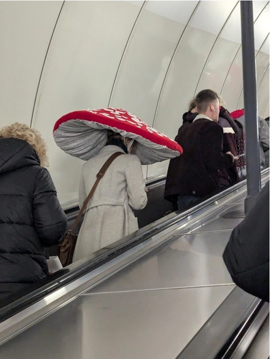 St. Petersburg metro. Archive - Metro, Fashion, Trash, Moscow Metro, Fly agaric, Mobile photography