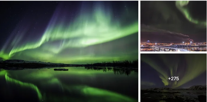 Where to see the Northern Lights: forecast, places and excursions in Murmansk - Polar Lights, Murmansk, Excursion, Starry sky, Night shooting, Astrophoto, Russia, Cities of Russia, Travel across Russia, Travels, Tourism, Telegram (link), Yandex Zen (link), Longpost