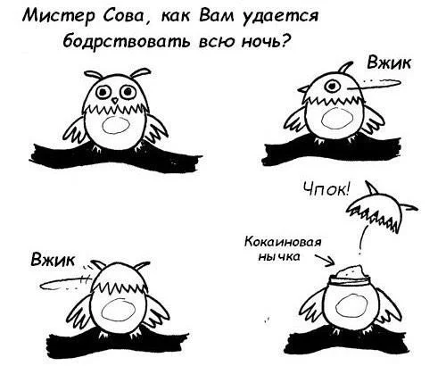 А как Мистер Жаворонок? - Юмор, Мемы, Сова, Сон, Повтор, Комиксы