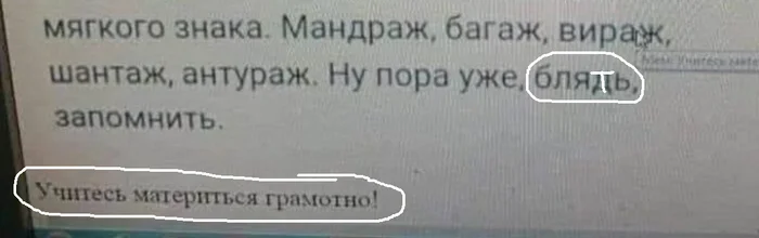 Ответ на пост «Русский язык...» - Мат, Русский язык, Грамотность, Ответ на пост