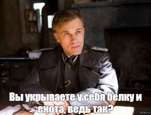 Ответ на пост «В США усыпили знаменитого бельчонка-блогера по кличке Арахис»