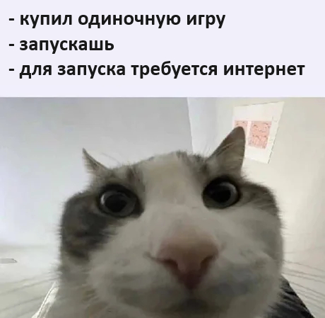 Что за мода такая пошла?