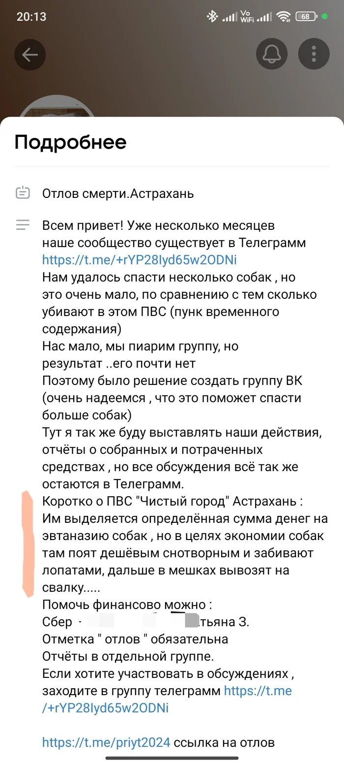 Без таких фраз донаты не насобираешь - Зоозащитники, Радикальная зоозащита, Бродячие собаки, Пожертвования, Ложь, Астрахань, ВКонтакте (ссылка), Длиннопост