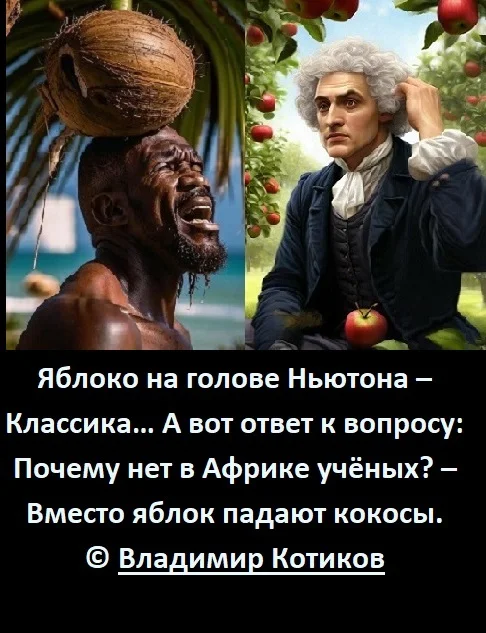 Newton's apple - Apples, Newton, Africa, Coconut